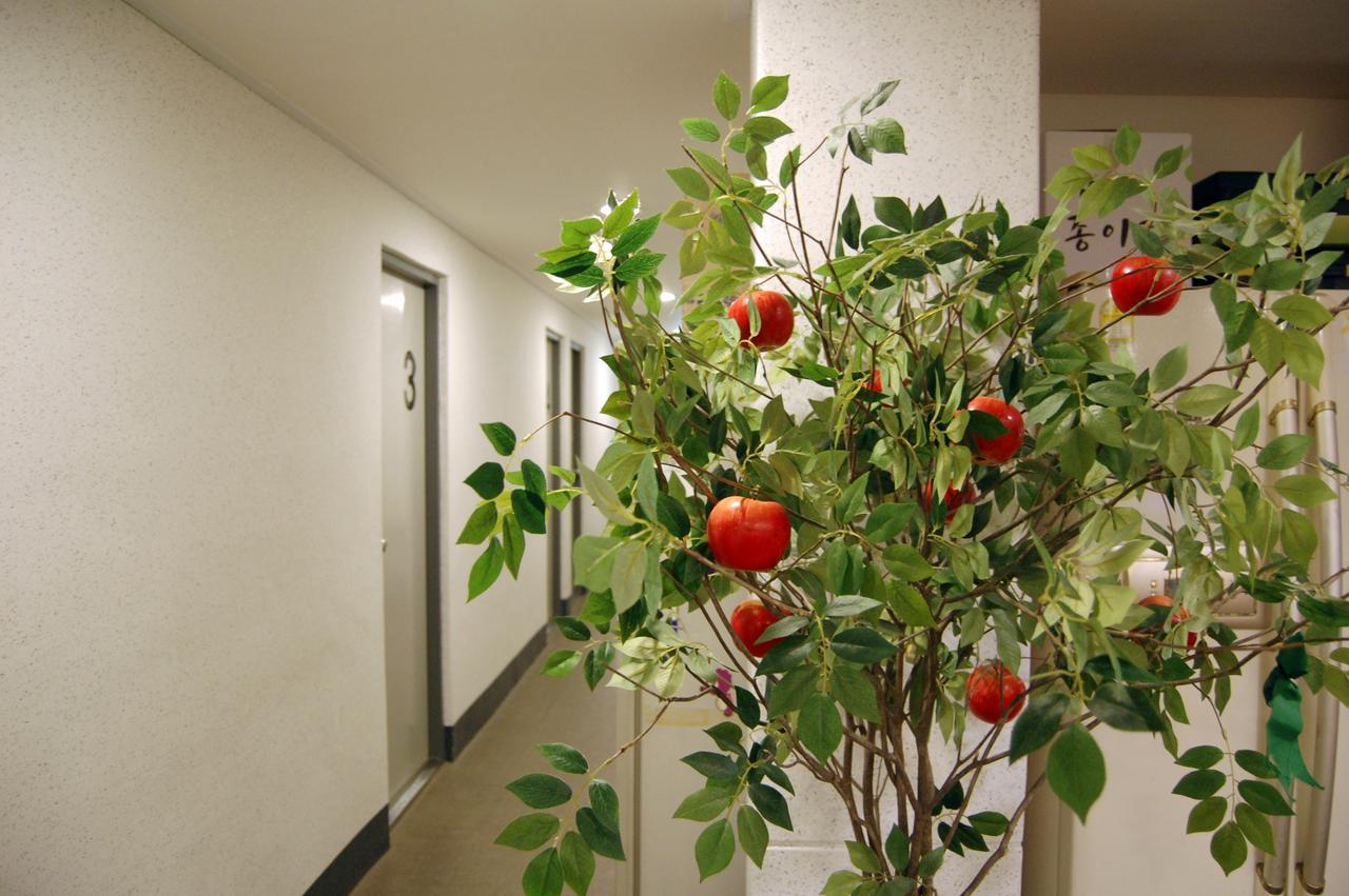 Dongseongro Zero Guesthouse Daegu Exterior foto